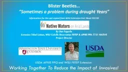 Blister Beetles… “Sometimes a problem during drought Years”