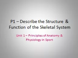 P1 – Describe the Structure & Function of the Skeletal System