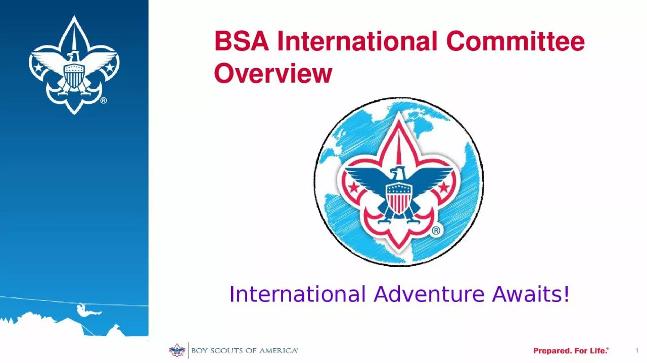 1 BSA International Committee