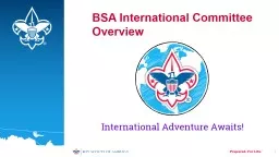 1 BSA International Committee