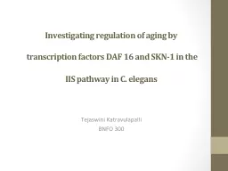 Investigating regulation of aging