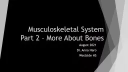 Musculoskeletal System Part 2 – More About Bones