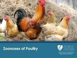 Zoonoses  of Poultry Diseases