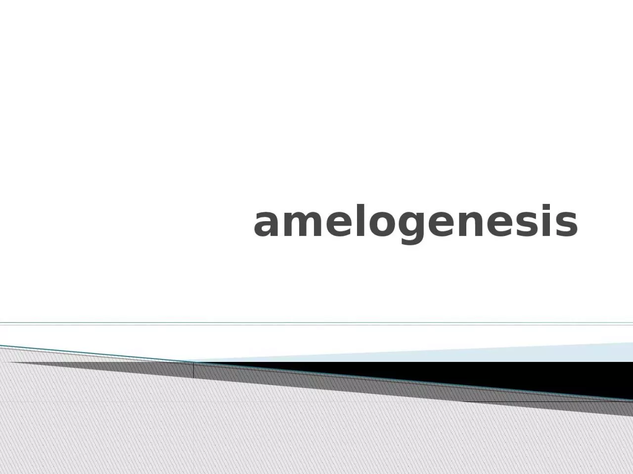 PPT-amelogenesis Life cycle of the ameloblasts