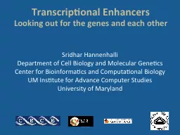 Transcriptional  Enhancers