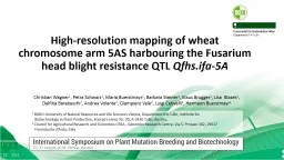 High-resolution mapping of wheat chromosome arm 5AS