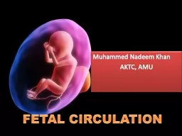 THE FETAL CIRCULATION INTRODUCTION