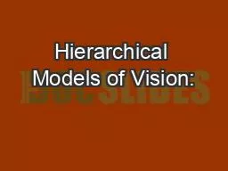 Hierarchical Models of Vision: