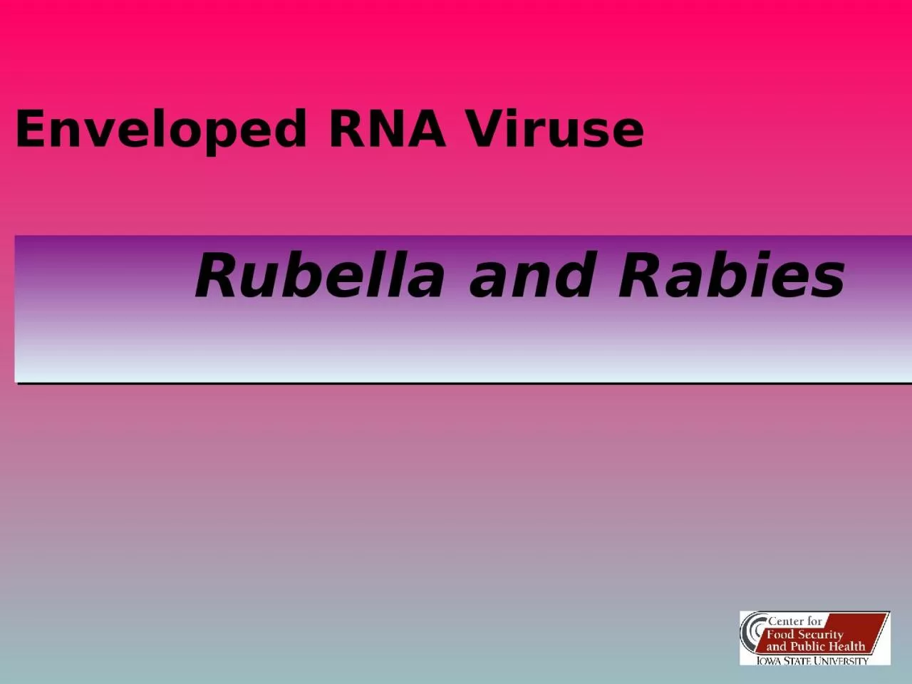 PPT-Rubella and Rabies Enveloped RNA