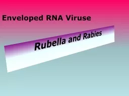 Rubella   and Rabies Enveloped RNA