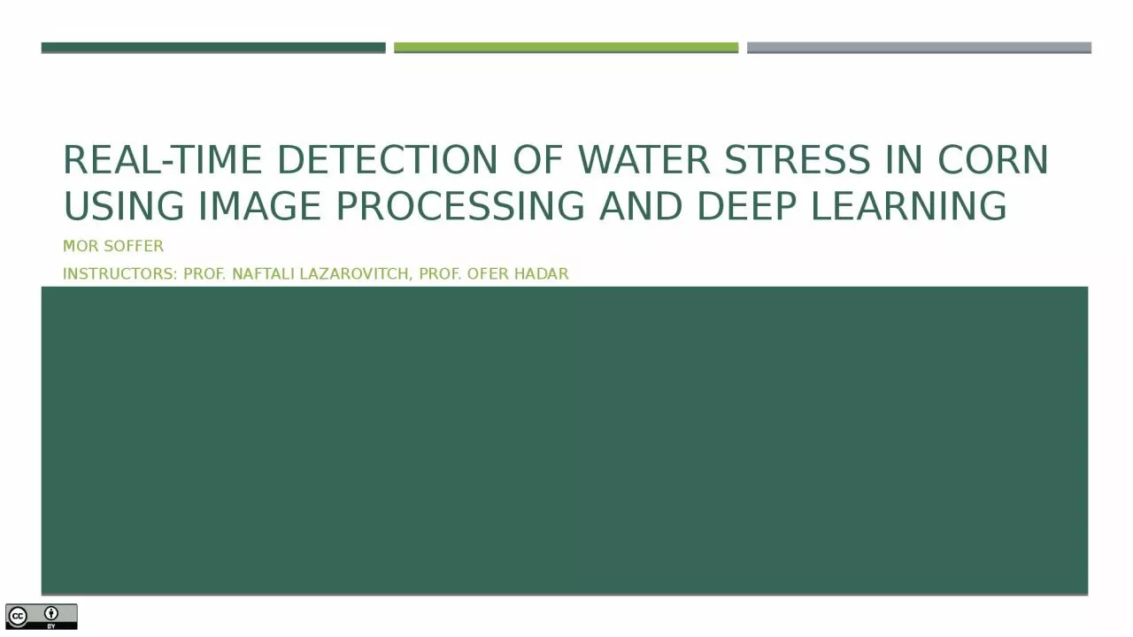 PPT-Real-Time Detection of Water Stress in Corn Using Image Processing and Deep Learning