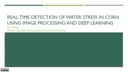 Real-Time Detection of Water Stress in Corn Using Image Processing and Deep Learning