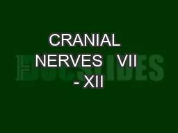 CRANIAL  NERVES   VII - XII