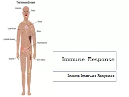 Immune Response Innate  Immune Response