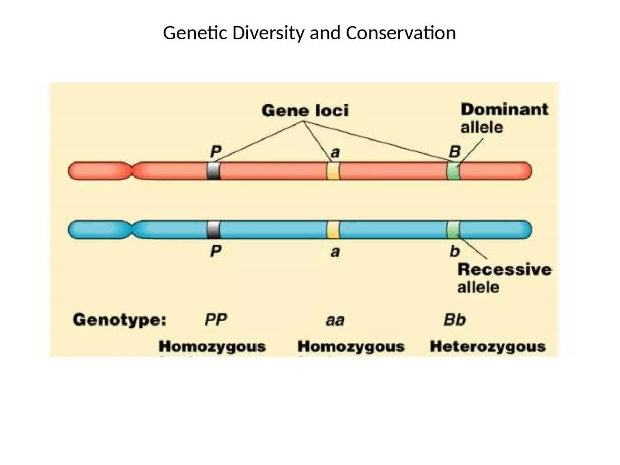 Genetic Diversity and Conservation
