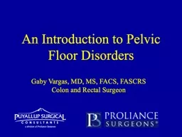 An Introduction to Pelvic Floor Disorders