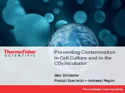 Preventing Contamination in Cell Culture and in the CO