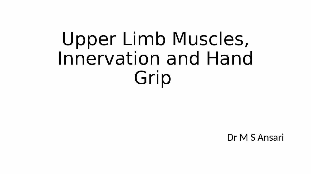 Upper Limb Muscles, Innervation and Hand Grip