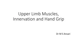 Upper Limb Muscles, Innervation and Hand Grip