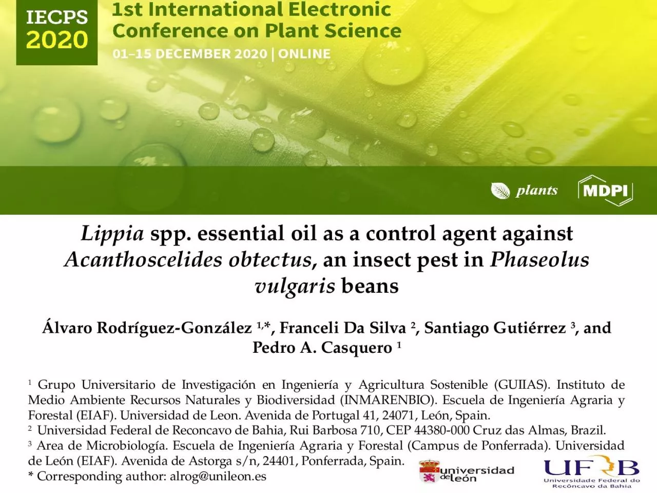 PPT-Lippia spp. essential oil as a control agent against