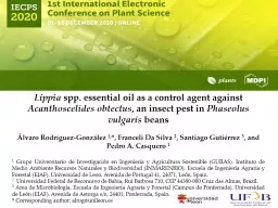 Lippia  spp. essential oil as a control agent against