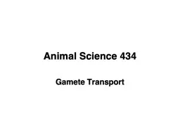 Animal Science 434 Gamete Transport