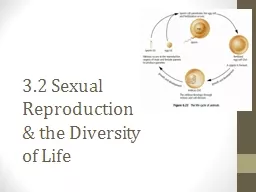 3.2 Sexual Reproduction & the Diversity of Life