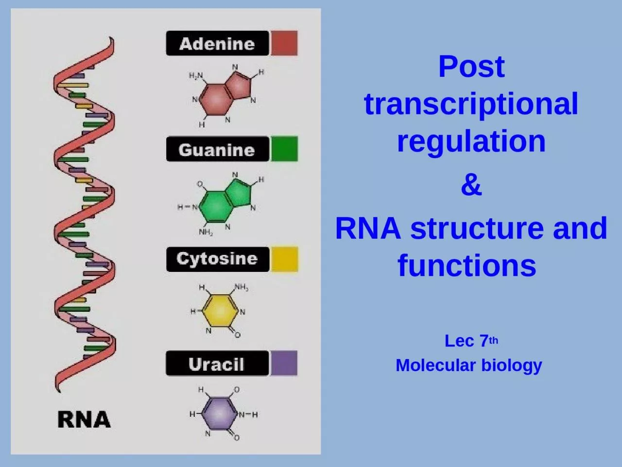 PPT-Post transcriptional regulation