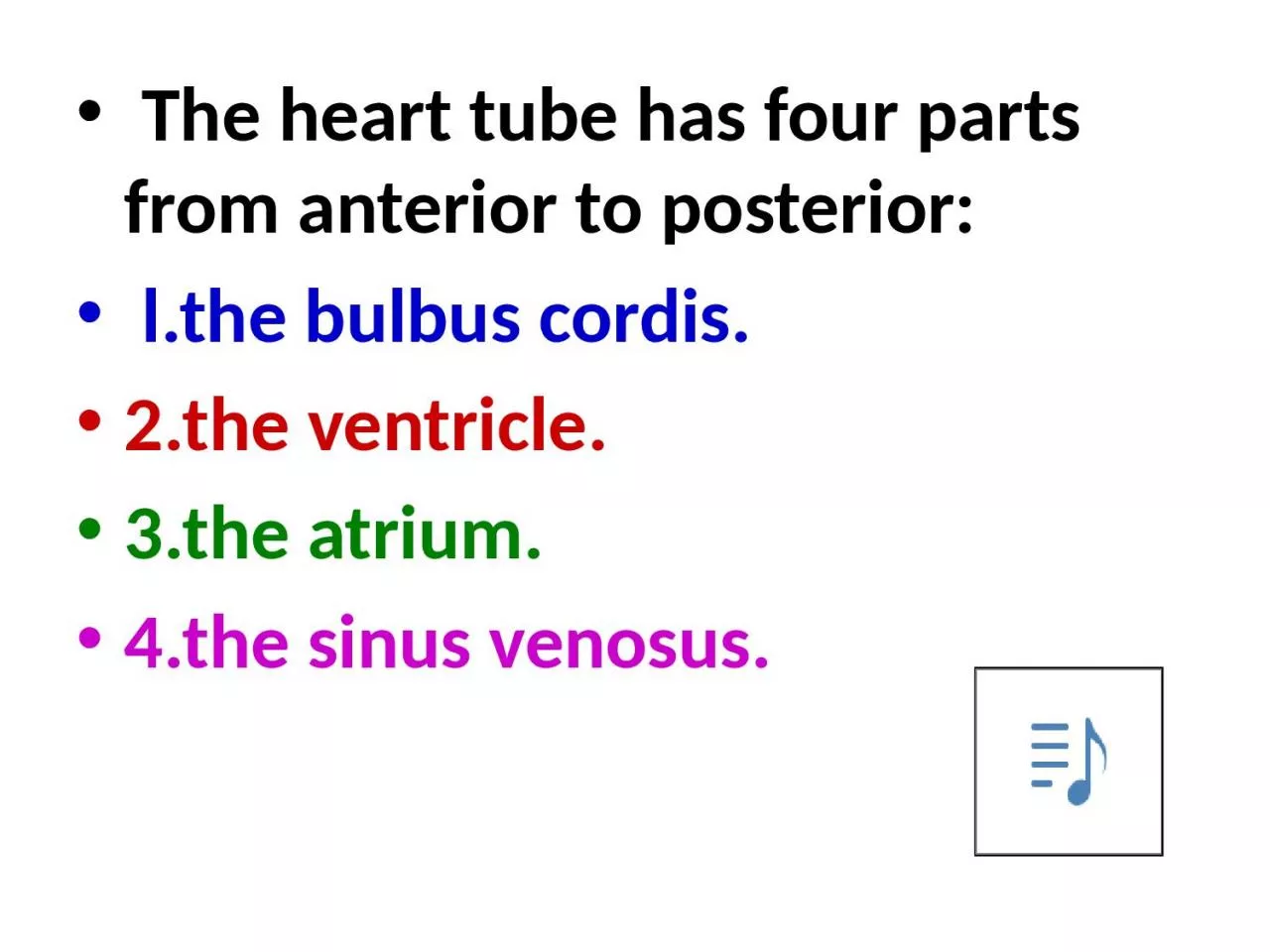 PPT-The heart tube has four parts from anterior to posterior: