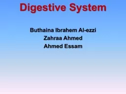 Digestive System Buthaina
