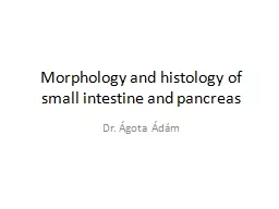 Morphology  and  histology
