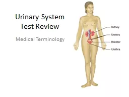 Urinary System Test Review