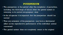 puerperium   The puerperium is that period after the