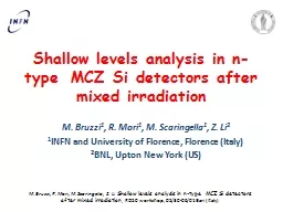 Shallow levels analysis in n-type  MCZ Si detectors after mixed irradiation