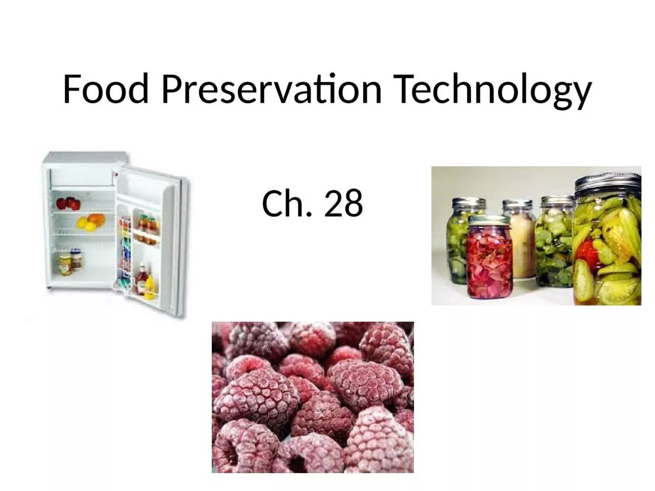 Food Preservation Technology