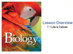 Lesson Overview 7.1 Life is Cellular