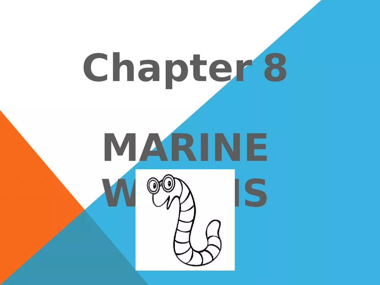 Chapter   8 MARINE   WORMS
