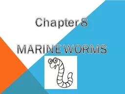 Chapter   8 MARINE   WORMS