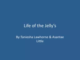 Life of the Jelly’s  By:Taniesha