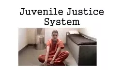 Juvenile Justice System Juveniles