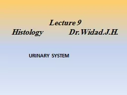 Lecture  9                                         Histology