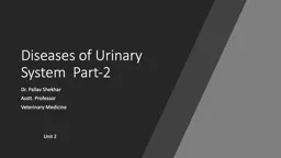 Diseases of Urinary System  Part-2