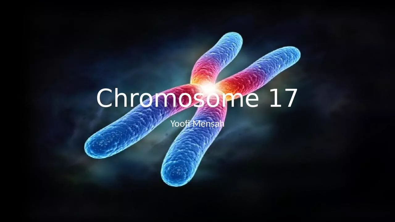 Chromosome 17 Yoofi Mensah