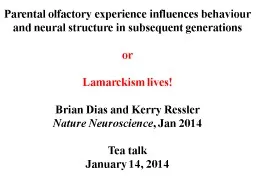 Parental  olfactory  experience influences behaviour