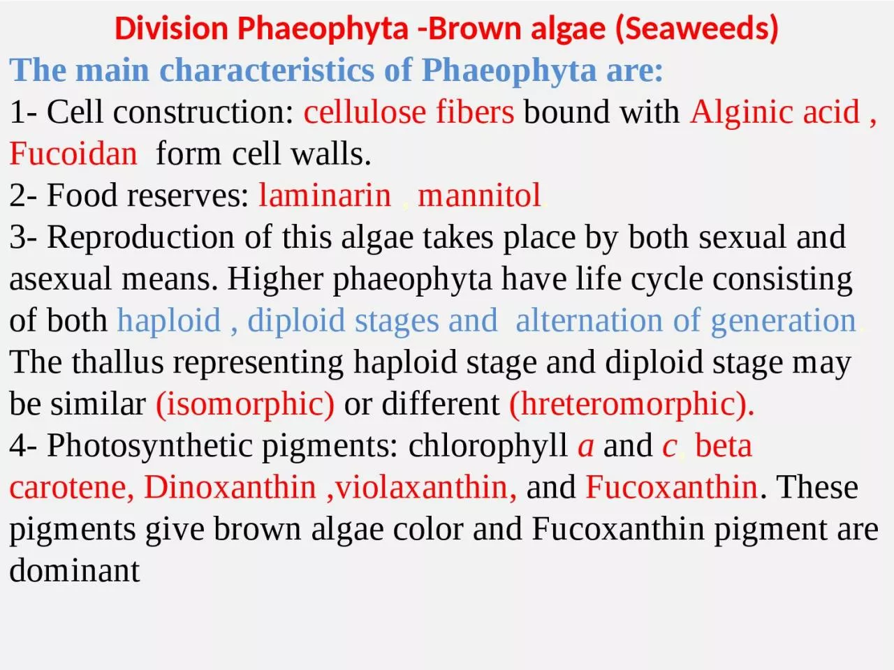 Division  Phaeophyta  -Brown algae (Seaweeds)