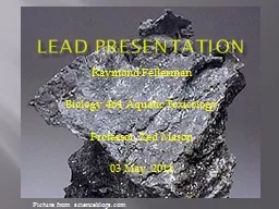 Lead Presentation Raymond Fellerman