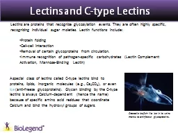 Lectins  and C-type  Lectins