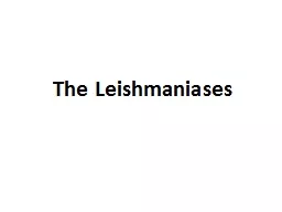 The  Leishmaniases Leishmaniases