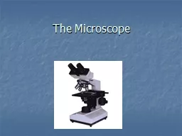 PPT-The Microscope Learning Objectives