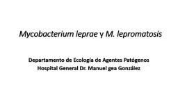 Mycobacterium leprae  y  M. lepromatosis